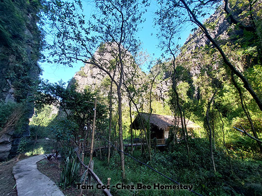 11-tam-coc-chez-beo-homestay.jpg