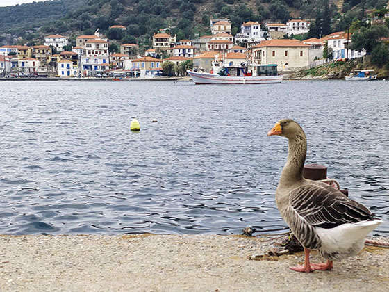 Agia-Kyriaki-Pelion-Greece.jpg