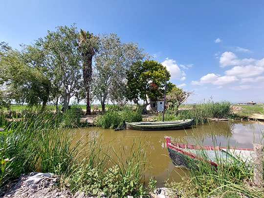 Albufera-day-trip-from-valencia-july.jpg