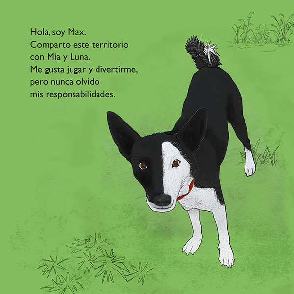 Luna-ha-Desaparecido-libro-infantil-sobre-la-perro-y-gato.jpg