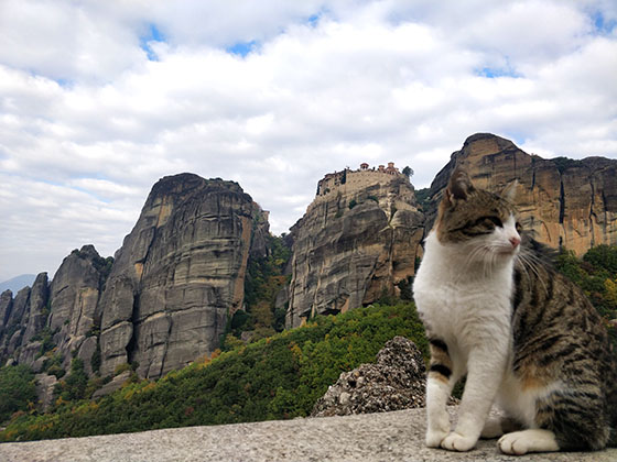 Meteora-Greece-with-cat.jpg