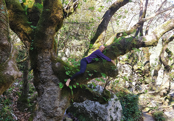 Zagoria-Epirus-Klifkis-waterfall.jpg