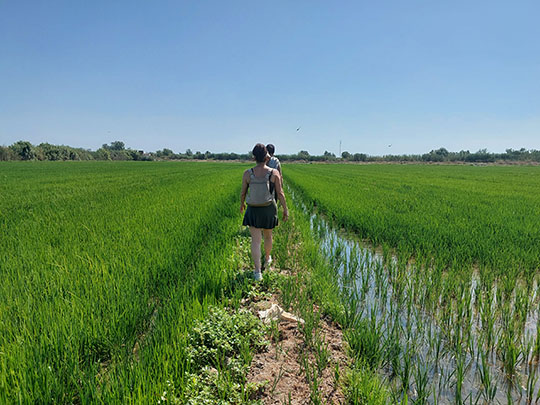 albufera-nature-reserve-valencia-tour.jpg