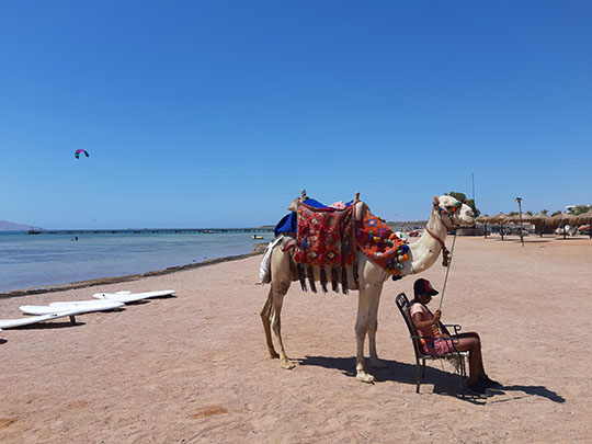 beach-family-vacation-sharm-el-shiekh.jpg