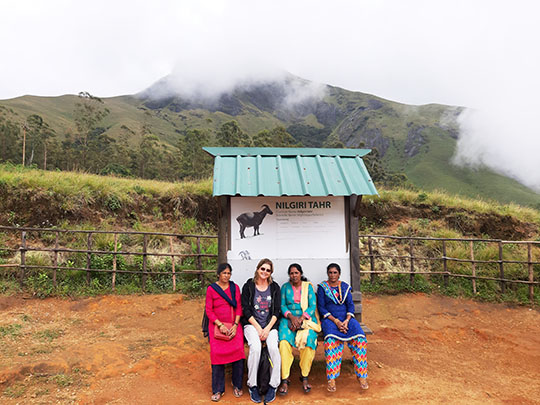 munnar-eravikulam-park-trail-kerala.jpg