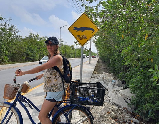 peurto-morales-road-to-the-beach-swamp.jpg