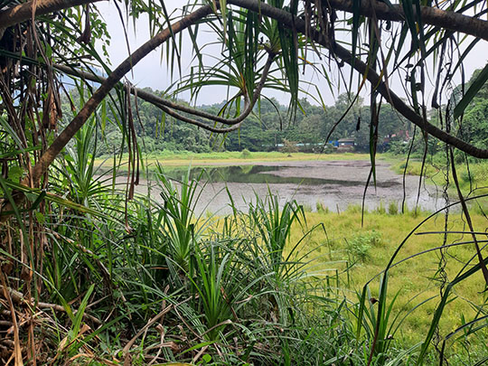 thattekad-bird-sanctuary-munnar-kerala.jpg