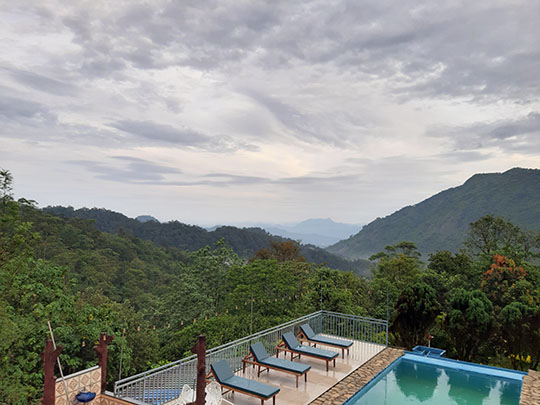 wild-elephant-resort-munnar-kerala.jpg