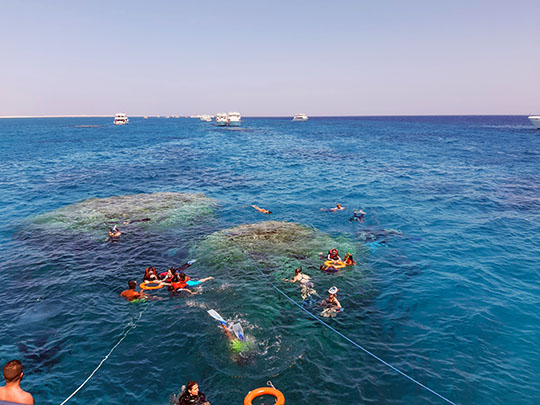 yacht-cruise-snorkeling-red-sea.jpg
